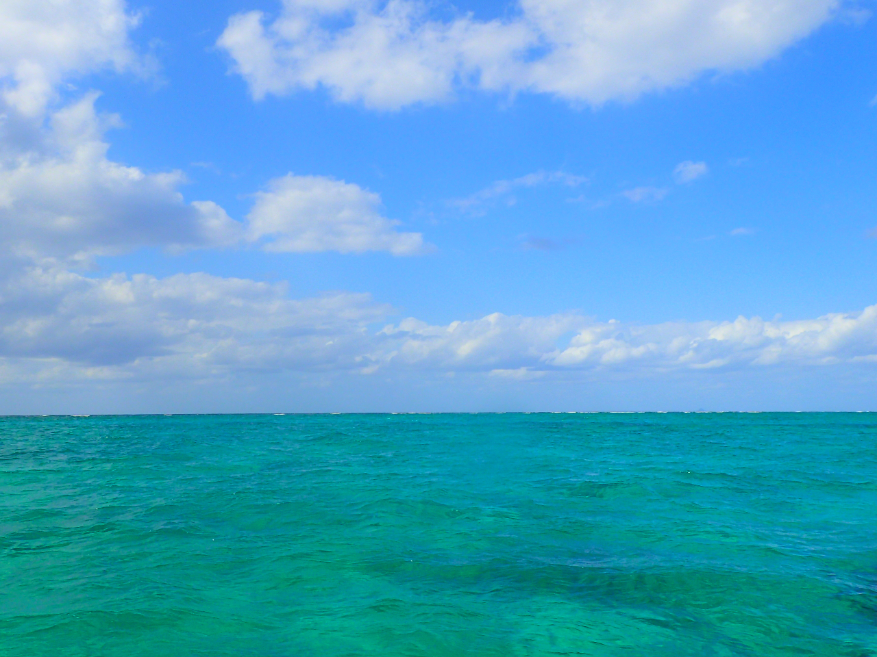 {[gōsI̓AVm[PI{[g̃P[VYłI