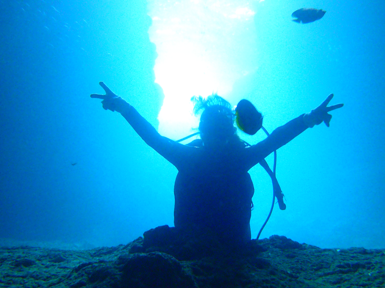 お子様から大人の方まで、幅広い年代の方に愛される神秘的できれいな海でダイビングを満喫!ご家族・お友達・恋人・社員旅行など皆様におすすめです!