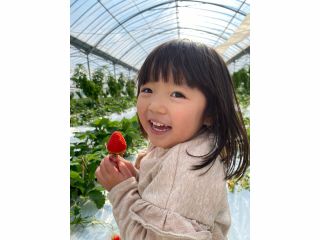 美味しいいちごにお子様も大満足間違いなしです♪
