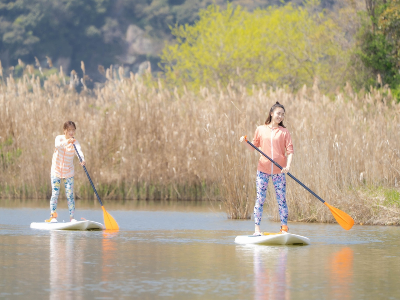 V4炢܂ŐLт̂ŃAhx`[