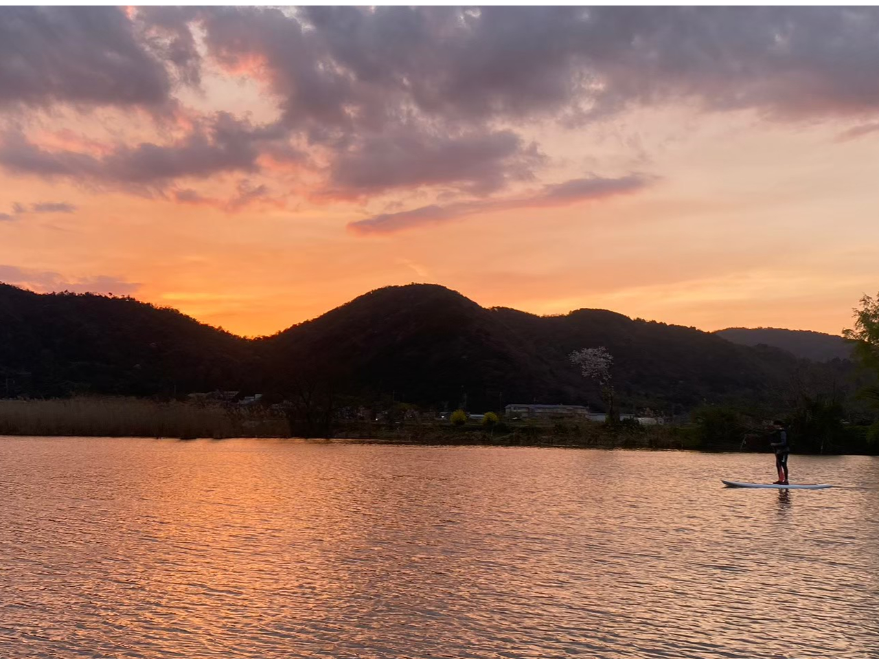 【滋賀・近江八幡】サンセット水郷SUPクルーズ！!　☆琵琶湖八景☆の一つ安土八幡...
