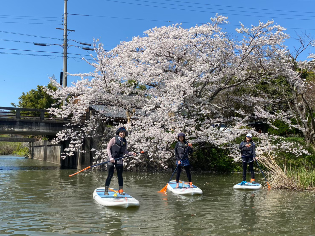 桜の季節はいい写真がいっぱい撮れます