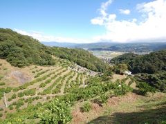 I8,000{݂̖̂؁II Â݂