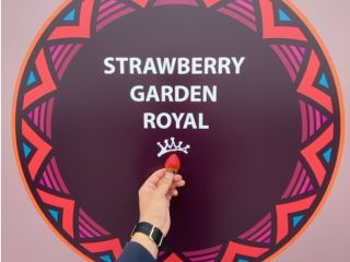 フォトスポットあります☆(*‘ω‘ *)