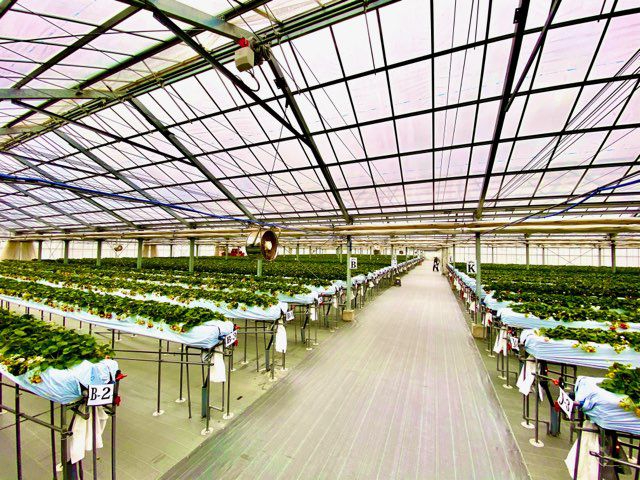 広々としたハウスは開放感抜群です！