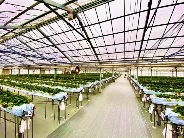 広々としたハウスは開放感抜群です!