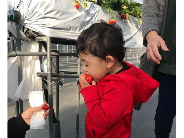 �傫�Ȃ��������p�N���I