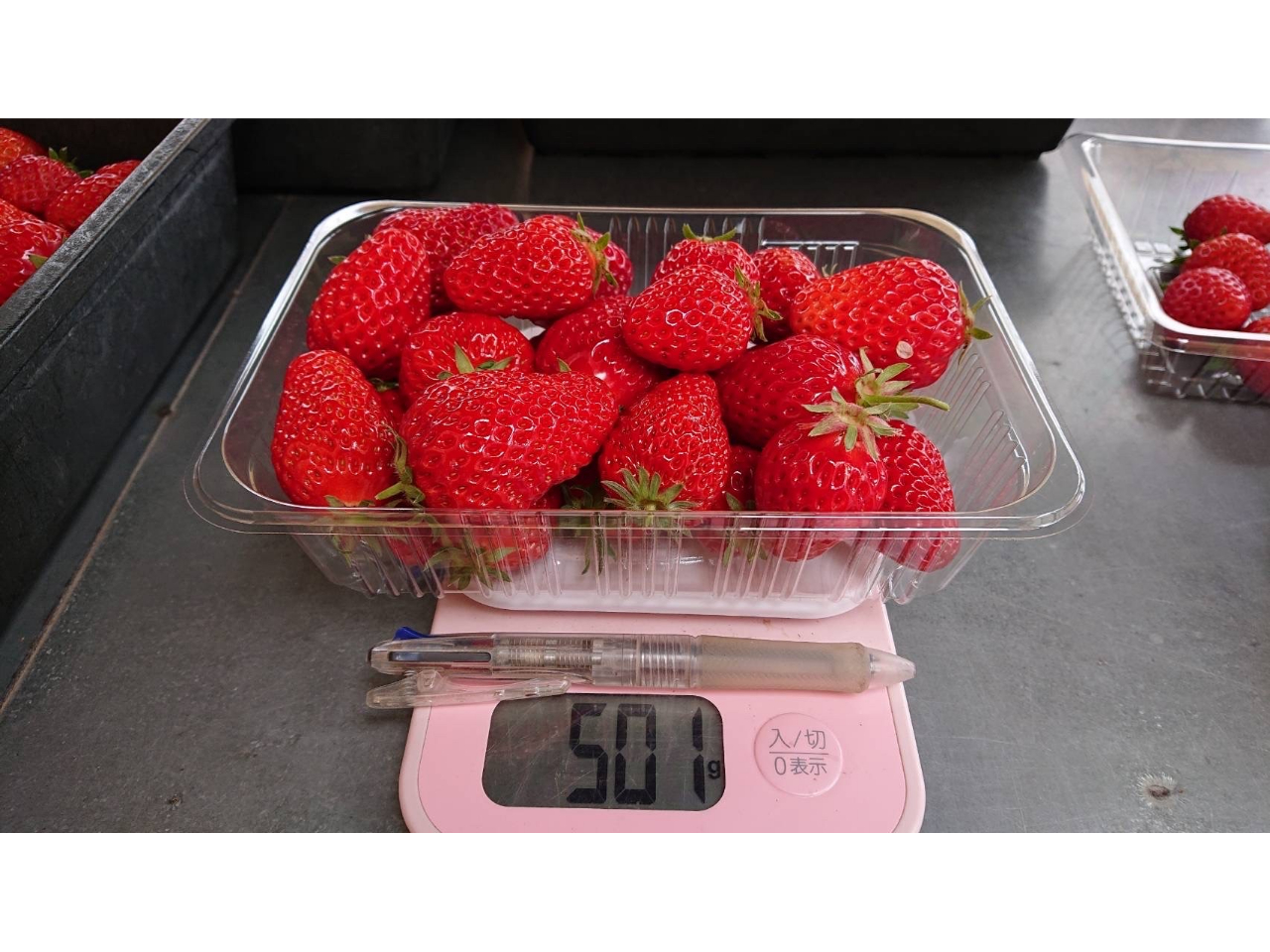 �T�O�O���͂��ꂭ�炢�ł���