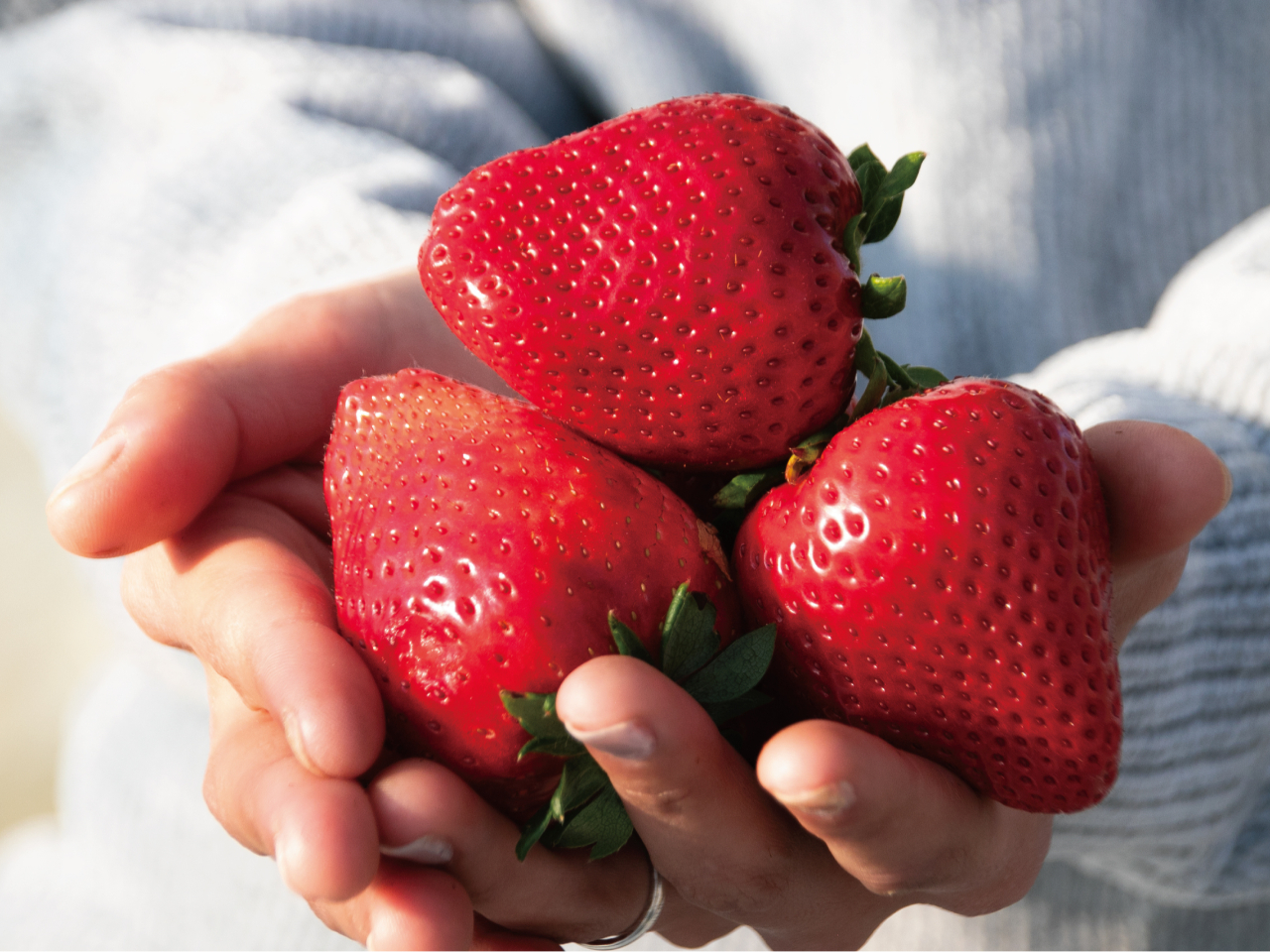 �嗱����������������I�Â��ăW���[�V�[�Ŕ��������I