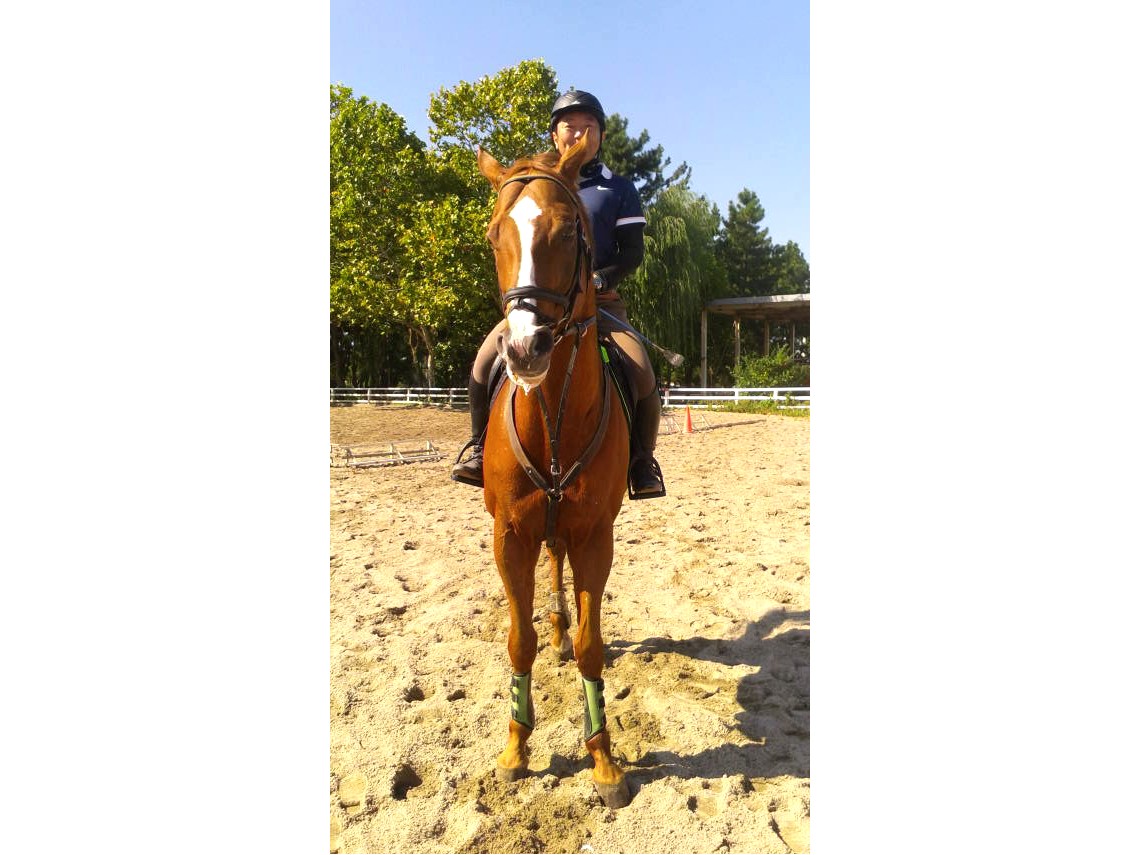 【初心者の方も安心♪ちょっぴりお試し乗馬体験★30分★】~新潟乗馬クラブで馬との...