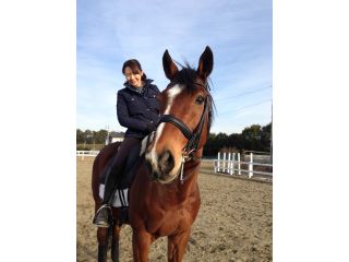 引馬体験プラン 乗馬経験が無い方もお気軽に 馬とのふれあいのお時間 引馬体験プラン 乗馬経験が無い方もお気軽に 馬とのふれあいのお時間