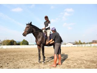 引馬体験プラン 乗馬経験が無い方もお気軽に 馬とのふれあいのお時間もご用意しております 乗馬クラブ エトワール じゃらん遊び体験 引馬体験プラン 乗馬経験が無い方もお気軽に 馬とのふれあいのお時間もご用意しております 乗馬クラブ エトワール じゃらん遊び体験