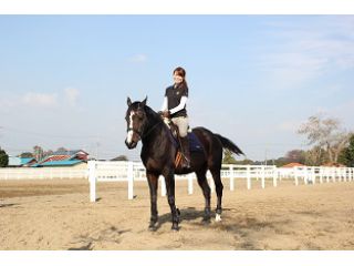 引馬体験プラン 乗馬経験が無い方もお気軽に 馬とのふれあいのお時間もご用意しております 乗馬クラブ エトワール じゃらん遊び体験 引馬体験プラン 乗馬経験が無い方もお気軽に 馬とのふれあいのお時間もご用意しております 乗馬クラブ エトワール じゃらん遊び体験