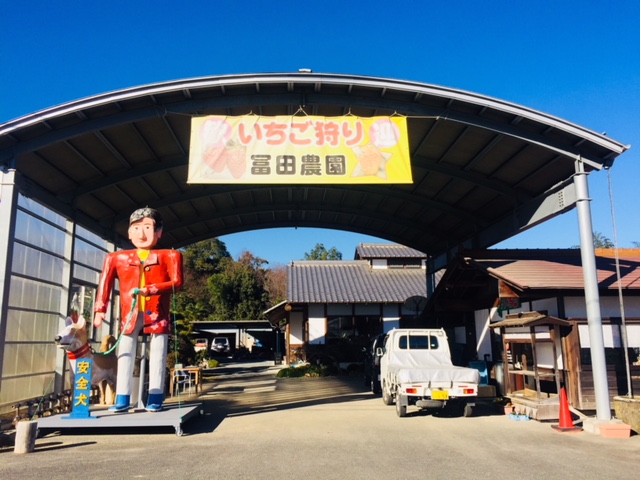 吉田　冨田農園へようこそ！