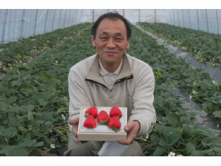 2月中旬 1粒5万円 と話題の美人姫 を含む5種類のうち1種類が20分食べ放題 奥田農園株式会社 じゃらん遊び体験 2月中旬 1粒5万円 と話題の美人姫 を含む5種類のうち1種類が20分食べ放題 奥田農園株式会社 じゃらん遊び体験