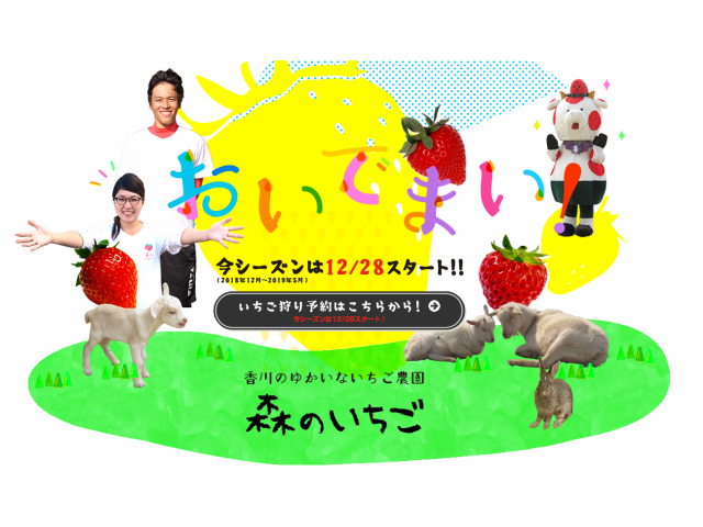 5月8日 香川県限定の さぬき姫 いちご狩り60分間 動物ふれあいなどの楽しい遊びイベント盛りだくさん ゆかいないちご農園 森のいちご じゃらん 遊び体験 5月8日 香川県限定の さぬき姫 いちご狩り60分間 動物ふれあいなどの楽しい遊びイベント盛りだくさん ゆかいないちご農園 森のいちご じゃらん 遊び体験