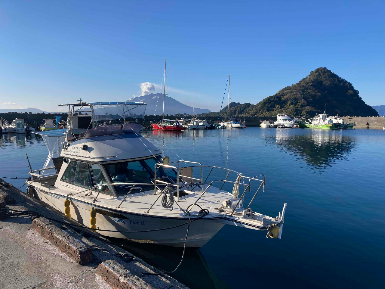 海から見る桜島・海から見る霧島連山★
新島上陸、ガイドによる島のご案内をいたします!
クルージング中にイルカに出会えるかも?!♪
海底が隆起してできた新島の上陸体験、時代の違う溶岩で囲まれた港を見学!
