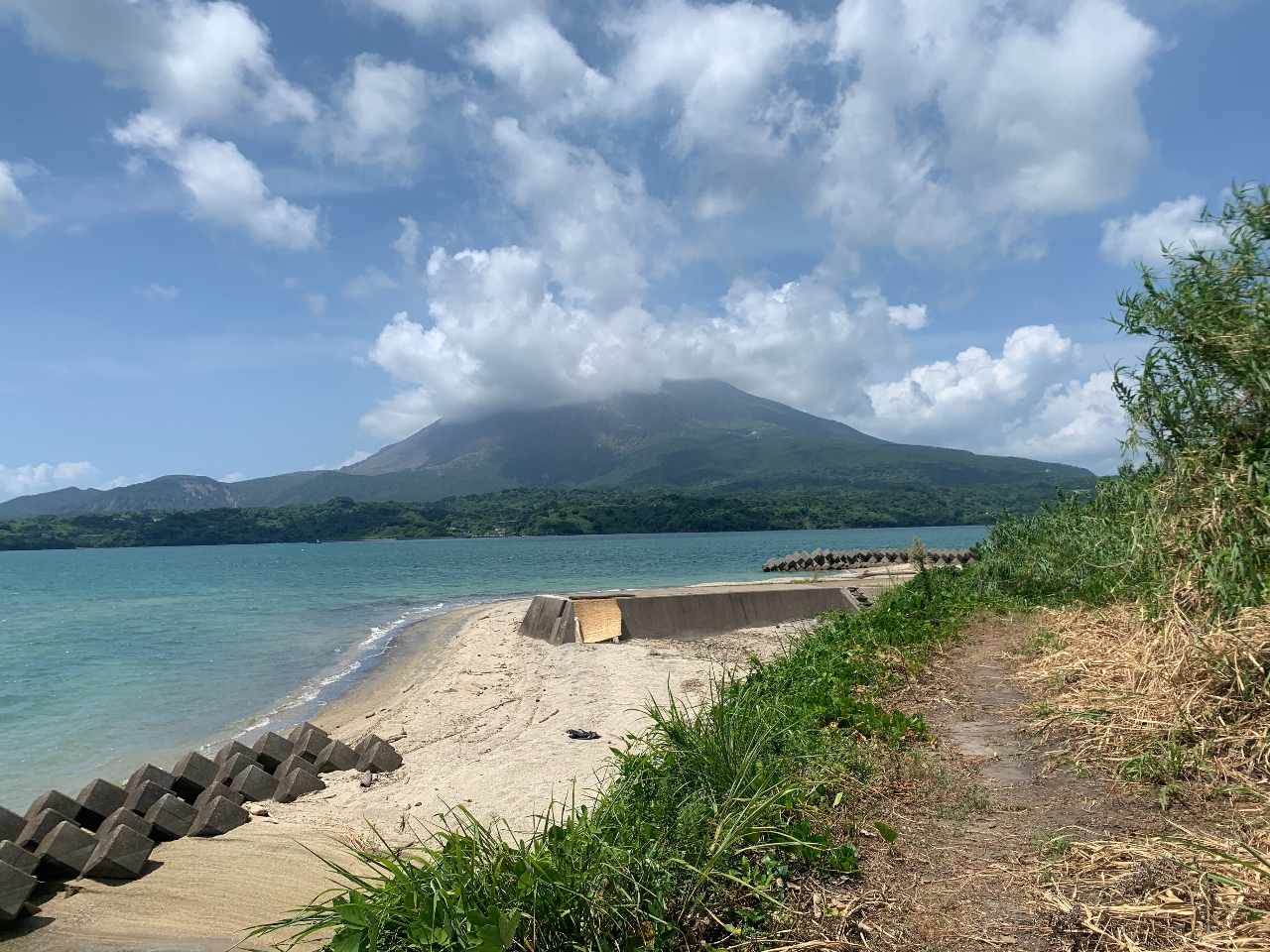 �V���C��