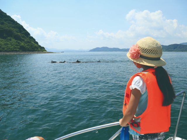 イルカとの遭遇