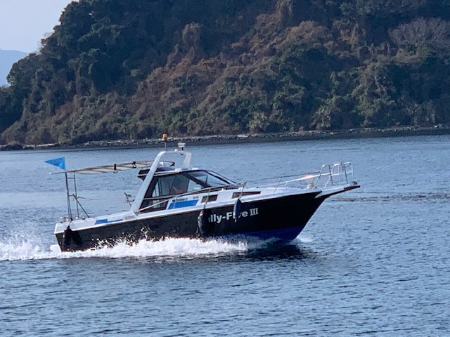 午後の部 ＜隼人新港発着＞新島上陸 A①午後コース（桜島東回り）(2