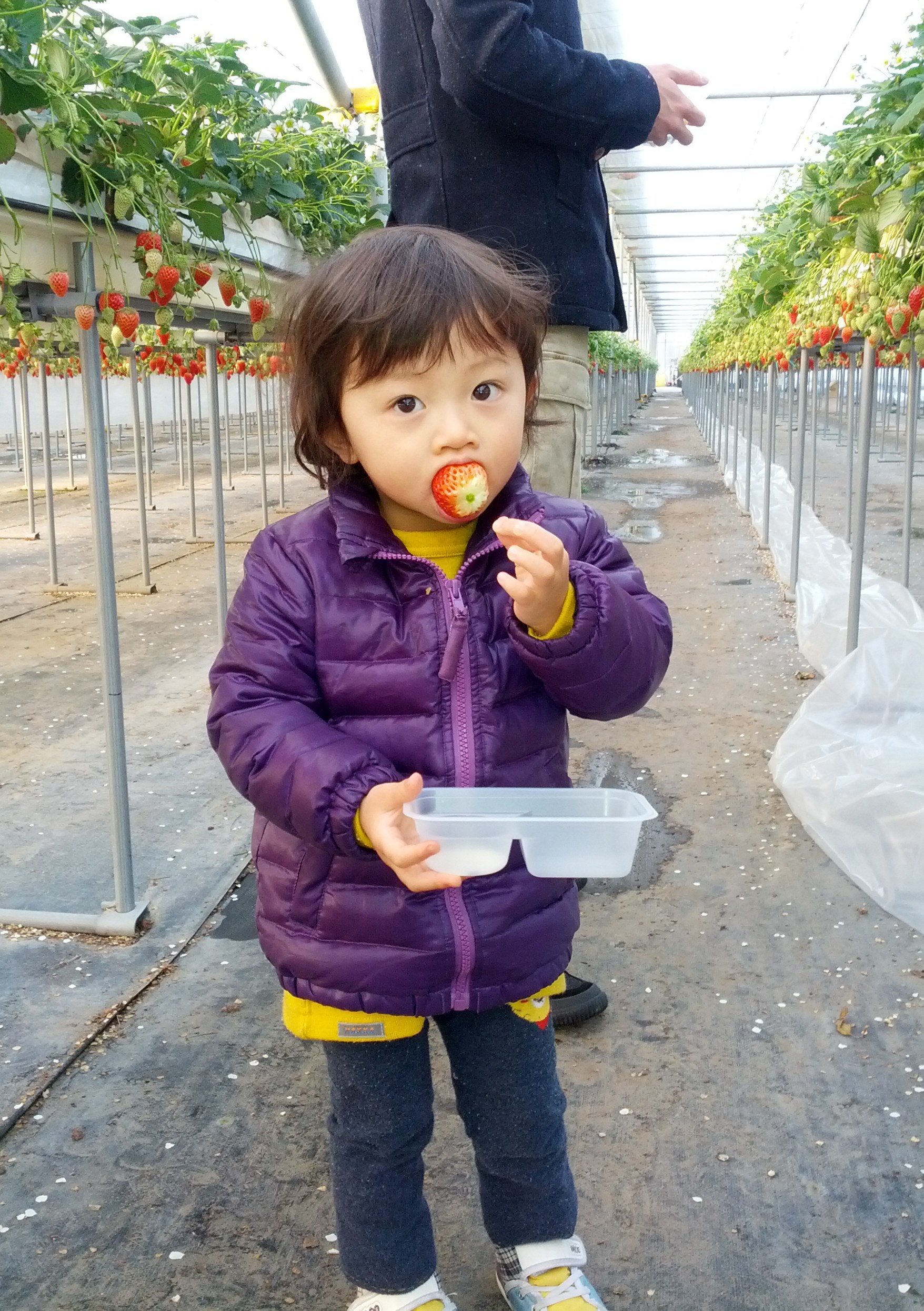 �S�č��ݍ͔|�ł��̂ŁA���S���ĐH�ׂ�܂��B