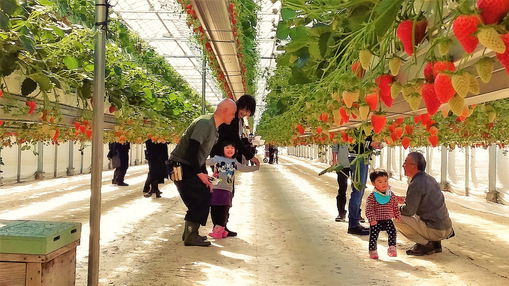 �R���n�E�X�͏㉺�ړ���������x���`�ł�