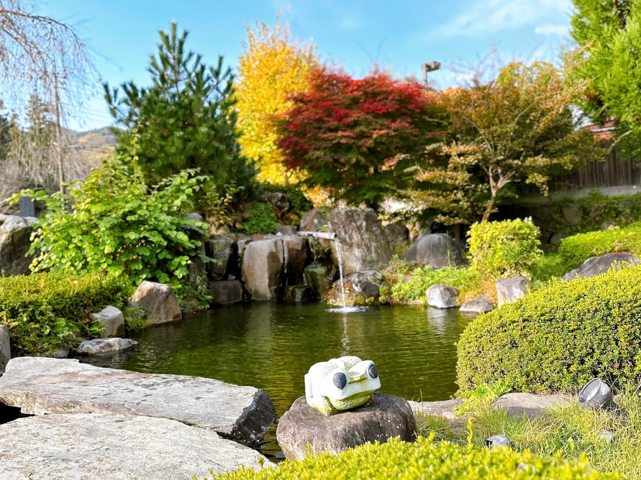 H̍gt͂ƂĂꂢłXXłI