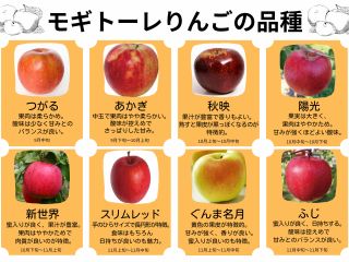 りんごの品種は時期によっていろいろ。味も色も楽しめるリンゴ。ぐんま名月は量り売り対応です。