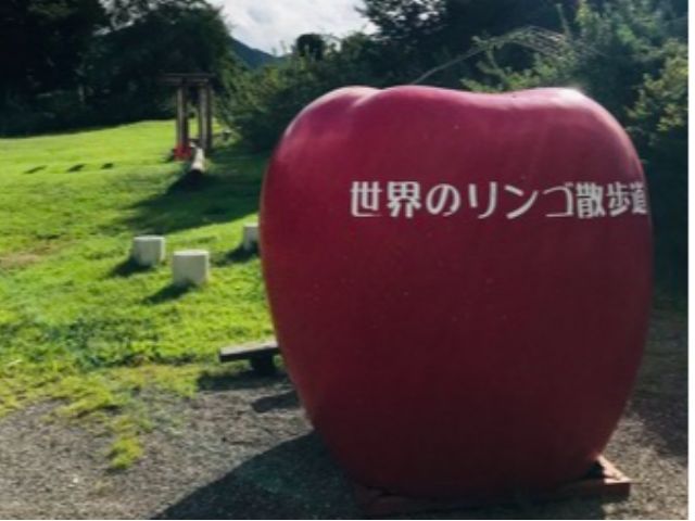 モギトーレの建物裏に広がる、世界のりんごの散歩道。世界中のりんごが栽培されています。日本に数本しかないニュートンのりんごの木もあるよ。