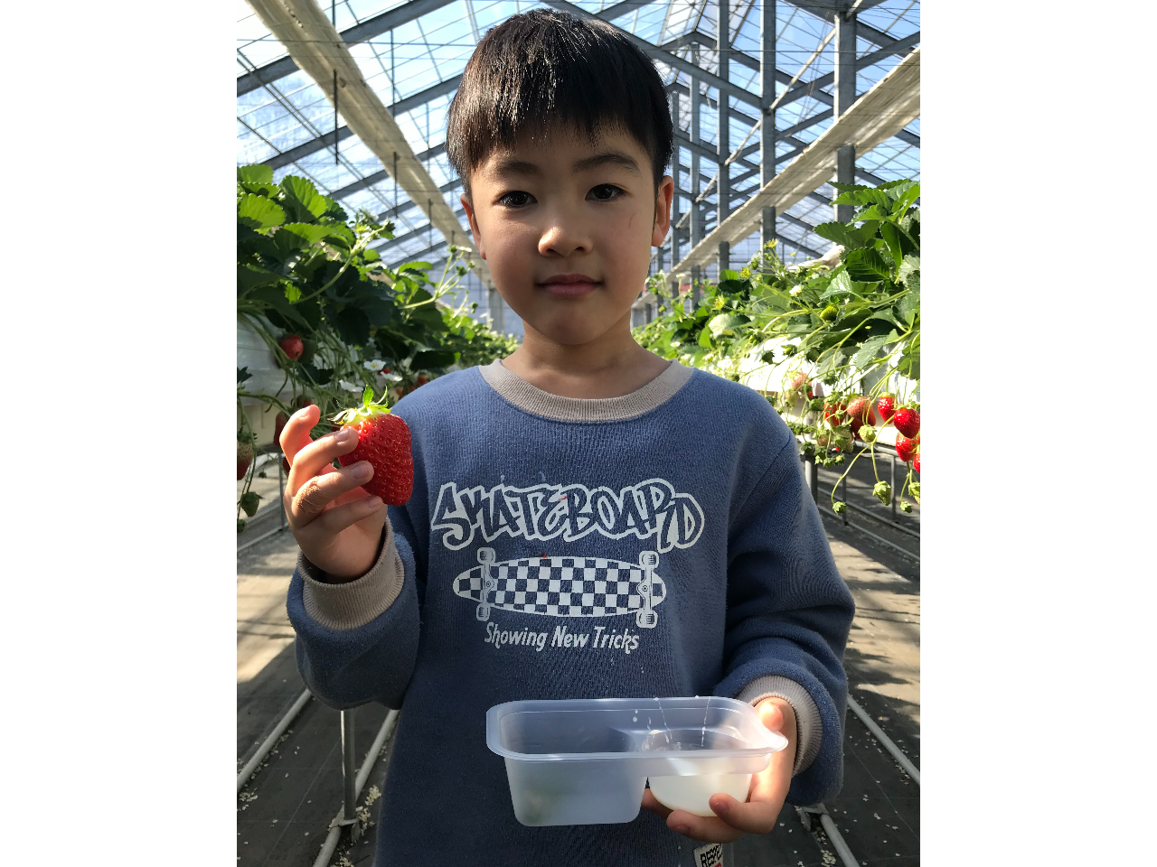 ̃JbvЎɎāAyށI͂莩RłB