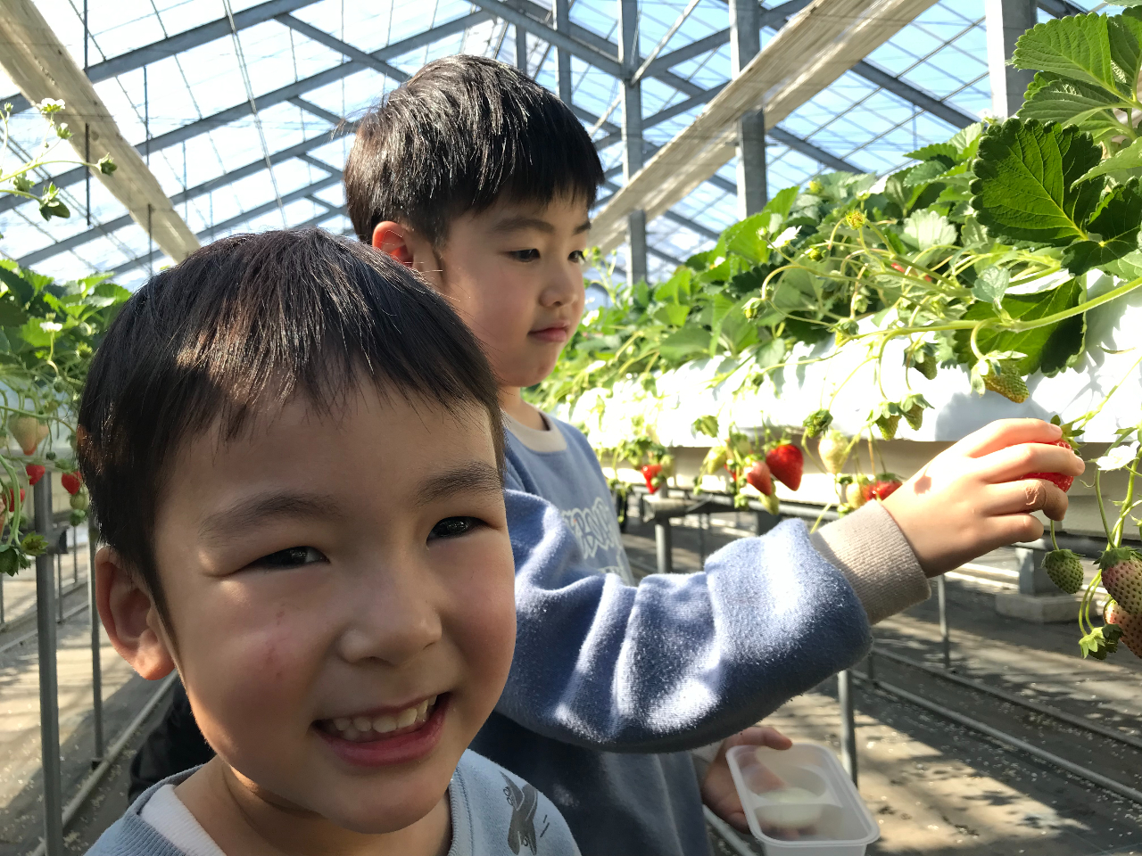 wxwgق؁xقQnuh́w悢Ђ߁xȂǁA̎̕i킪Hׂ܂BςHׂ`@îw͎󂯂˂܂B