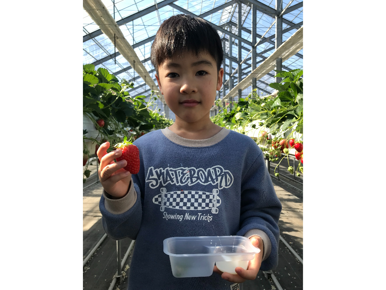 30Hו́AB͖łĂ܂B