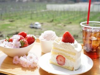 モギトーレのいちごを使用して作る自家製ケーキです。スポンジも店内で焼き上げています。ジェラートも手作り!