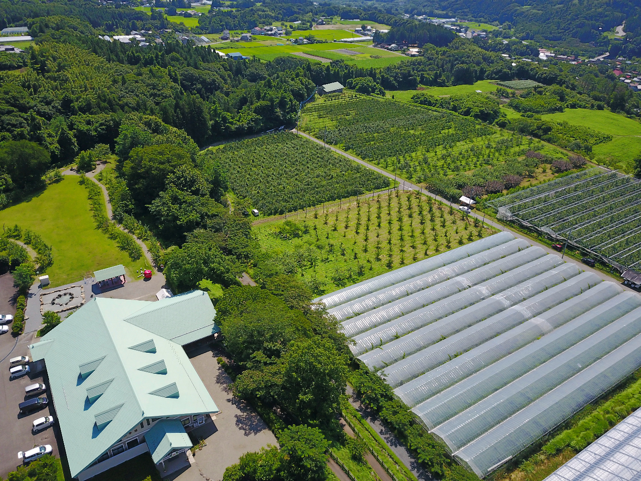 ���M�g�[����B�B�قƘ[�ɉʎ������L�����Ă��܂��B