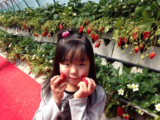 お子様連れでも時間に制限がないのでゆっくりできます♪