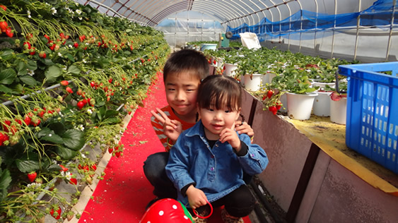 【静岡/久能】【12月~2月】嬉しい時間無制限&1グループ1ハウス貸切♪『石垣い...