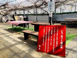 鴨川 いちご狩り 30分食べ放題 10 15種類食べ比べ ここでしか食べれないオリジナル苺もo 鴨川シーワールドまで車で分 たむら農園 じゃらん遊び体験 鴨川 いちご狩り 30分食べ放題 10 15種類食べ比べ ここでしか食べれないオリジナル苺もo 鴨川シーワールドまで車で分 たむら農園 じゃらん遊び体験
