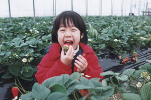 LXƂXy[Xłyݒ܂IC`S񋟂邽߂ɓyk͔|ɂĂ܂B