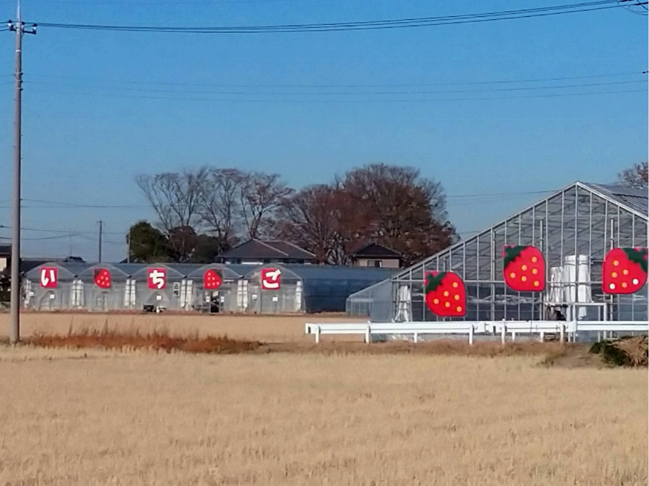 VSoCpX𓌋ʂ炨zɂȂꍇAuRZv̊Ŕ̒O܂ĂB̉摜̃K[h[̂Ƃ̓ł