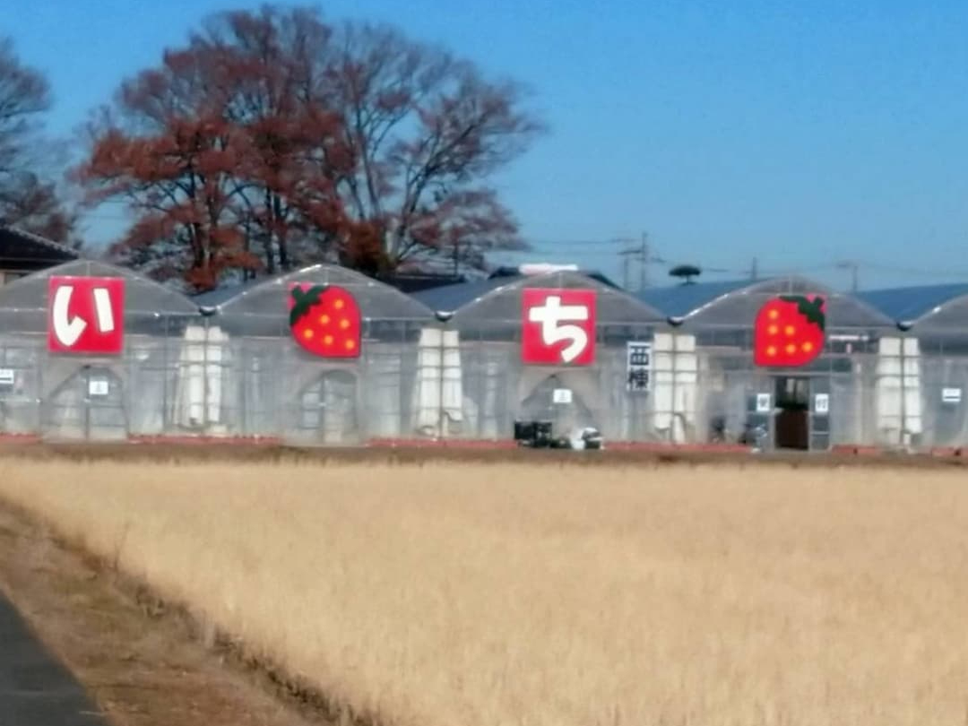 ̃nEX̊ŔڈłI葤PԏAE葤QԏłB