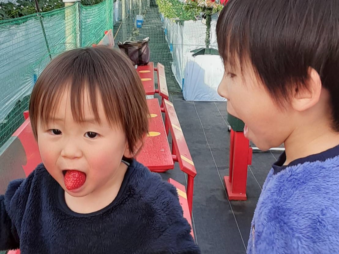 t@~[͂AJbv⏗̕Aj̕AFlłU킹̏エz 񂨂ЂƂlA劽}ł