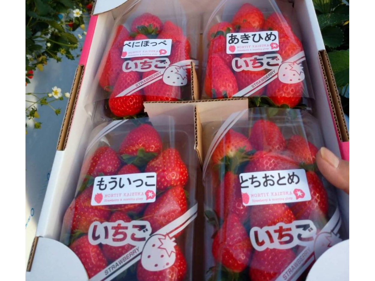 \ȂƂ́A̔sĂ܂BX^bt܂ł|B