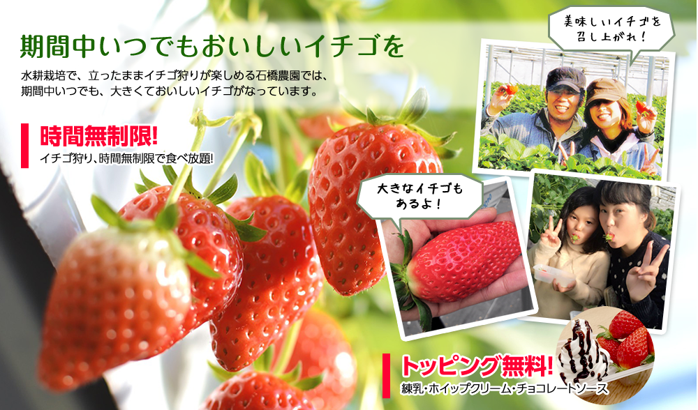 ���Ԗ�������ICHIGOYA�ESUN�ŐS�䂭�܂ł������������y���݉�������