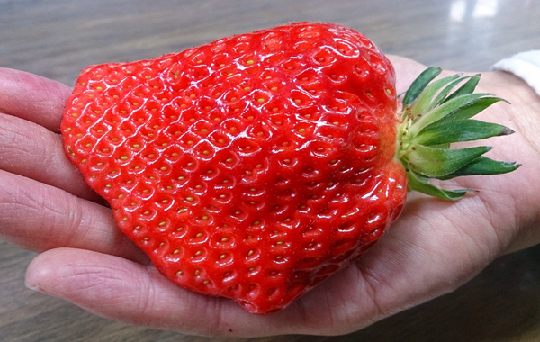 時間無制限！／じゃらん限定先行入場特典♪トッピング3種類おかわり