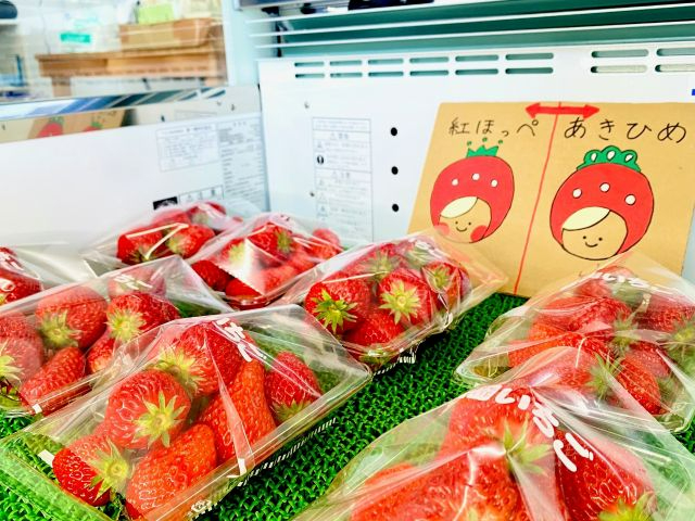 �̂ꗧ�ĐV�N�Ȃ��������g�ق��؁��Ɓ������Ђ߁����������グ���������܂���