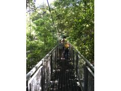 綾町 東諸県郡 のアウトドアランキングtop2 じゃらんnet 綾町 東諸県郡 のアウトドアランキングtop2 じゃらんnet