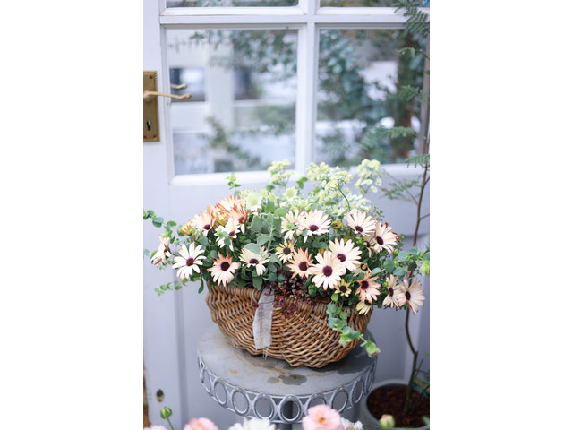 根付き植物を花束のように☆寄せ植えブリコラージュフラワー☆女性・お