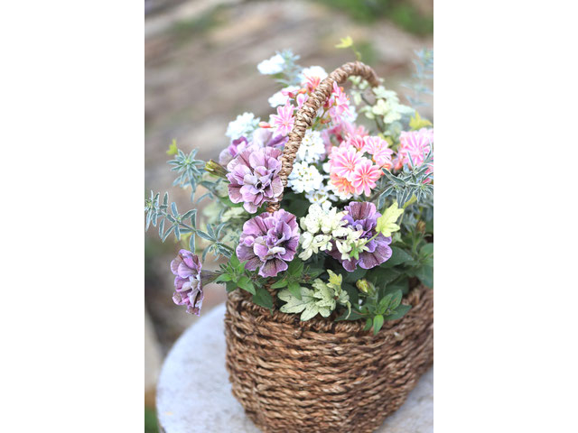 根付き植物を花束のように☆寄せ植えブリコラージュフラワー☆女性・お