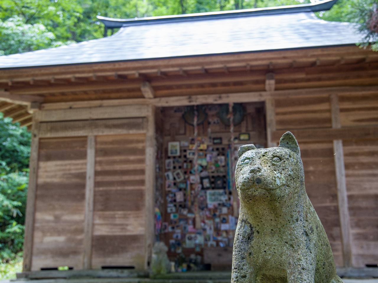 ̋{EL̋{izق玩]ԂŖ30j