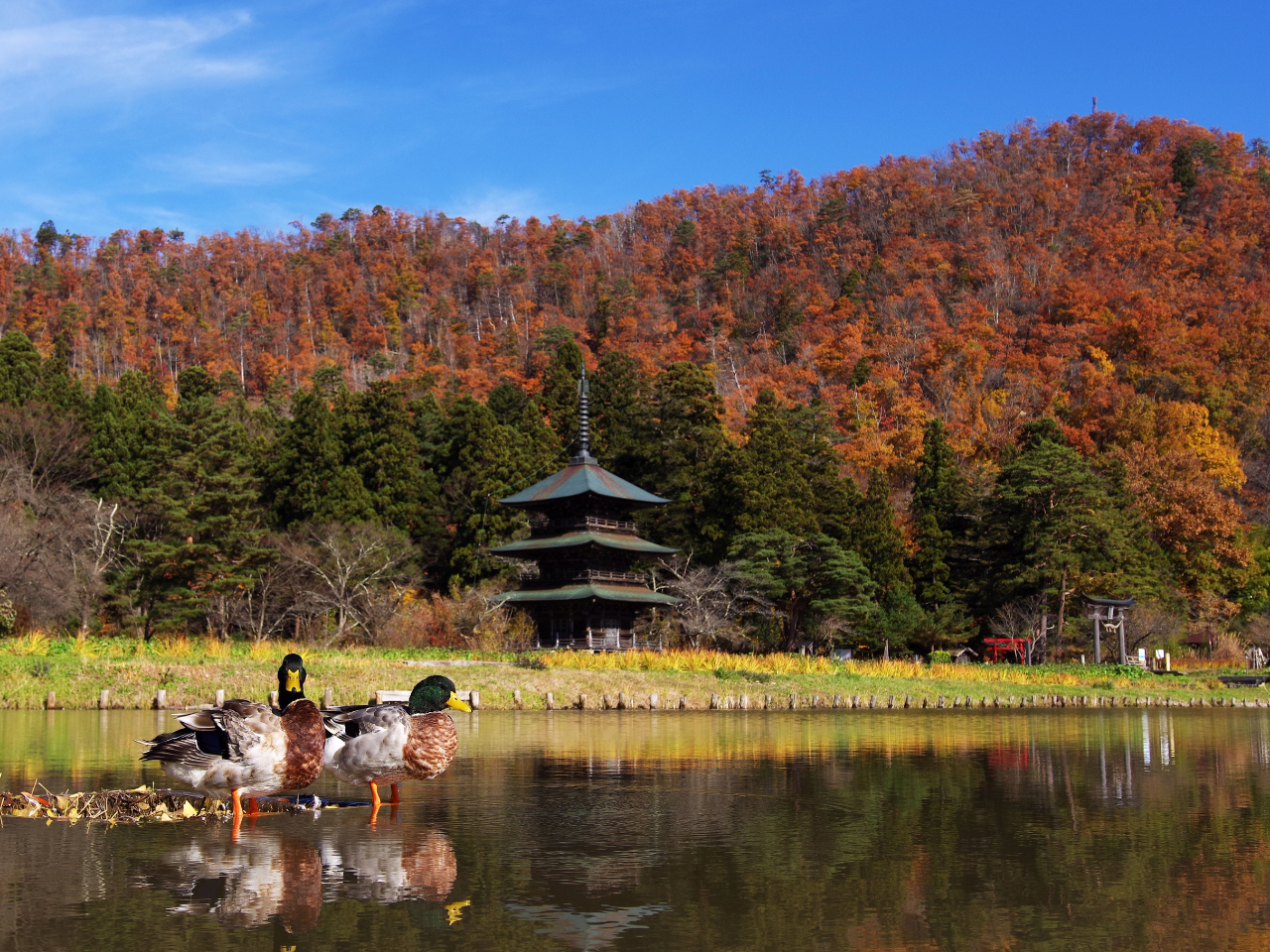 vÔ_Ёizق玩]ԂŖ30j